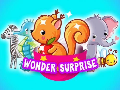 jeu éducatif Wonder Surprise - play & learn