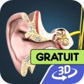 jeu éducatif les oreilles, le mécanisme de l'ouïe 3d