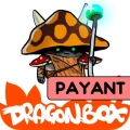 jeu éducatif dragon box elements
