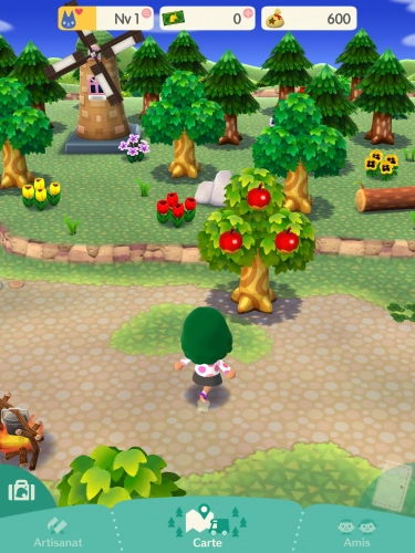 jeu éducatif Animal Crossing: Pocket Camp