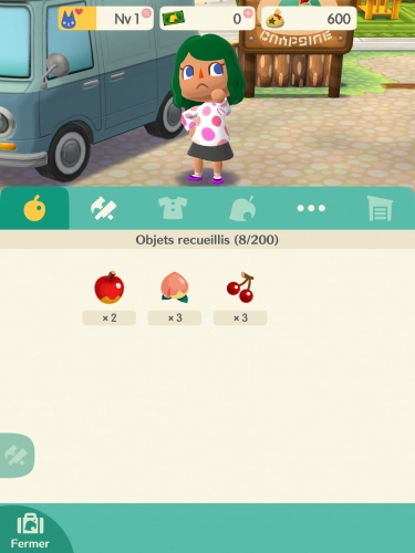 jeu éducatif Animal Crossing: Pocket Camp