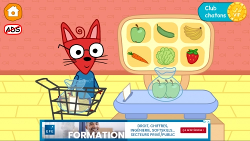 jeu éducatif La Famille Chat : Jeu de Magasin !