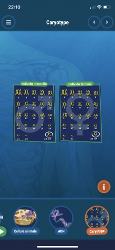 jeu éducatif Clementoni corps humain