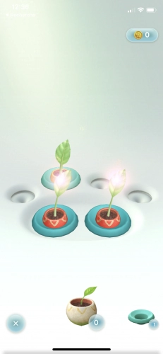 jeu éducatif Pikmin Bloom